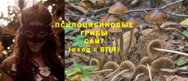спиды Аркадак
